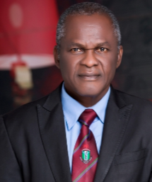 PROF. ANTHONY NNAEMEKA   